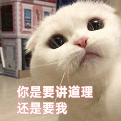 示例图片